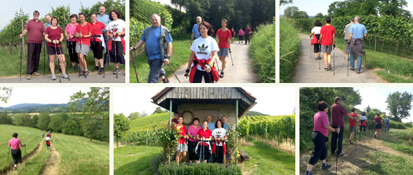 Fit mit Nordic Walking bei back to sports